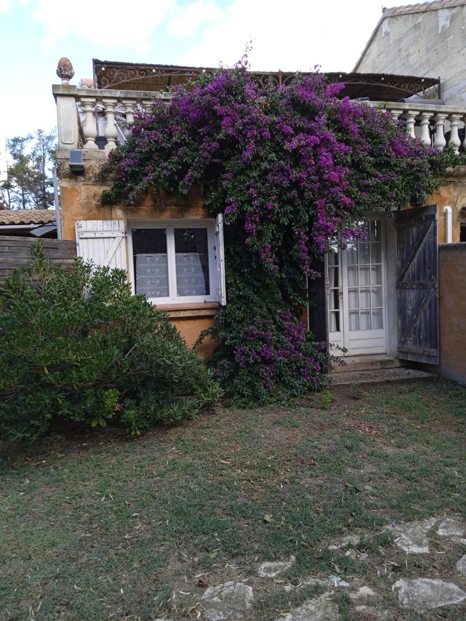Апартаменти Mas Maurane - Le Bougainvillier Aux Portes D'Arles Тараскон Екстер'єр фото